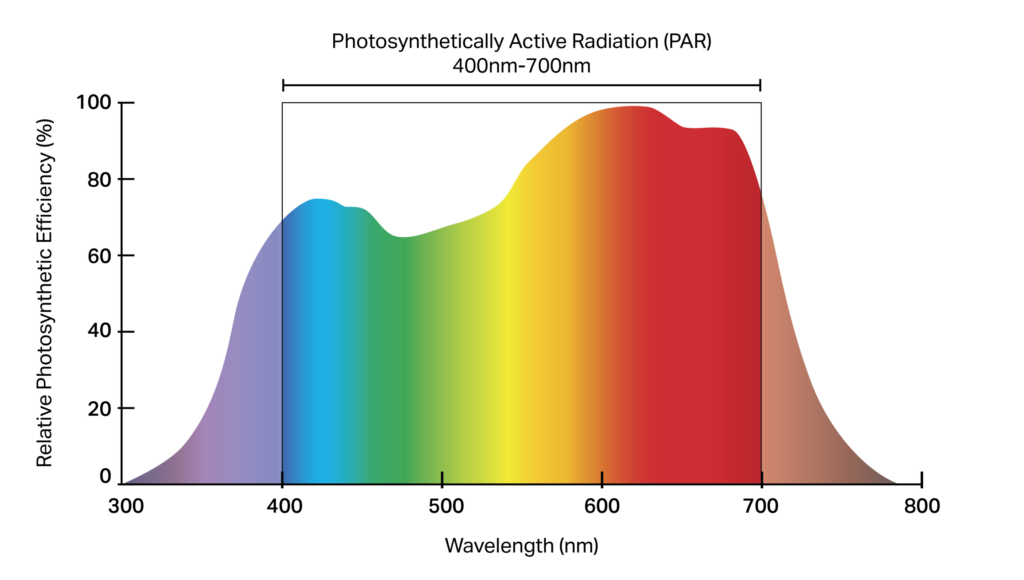 grow light spectrum chart - photosynthesis