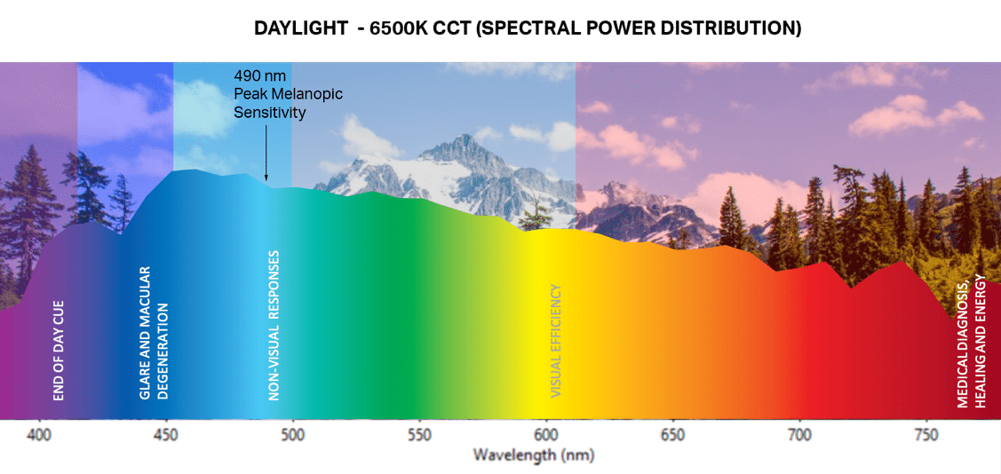 Daylight SPD Chart